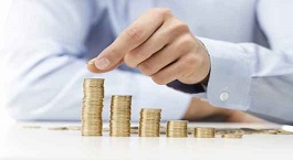 Sustainable Profit and Growth